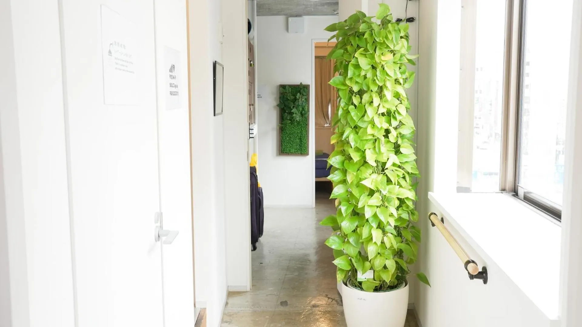 Hostel Lodging Tokyo Uguisudani
